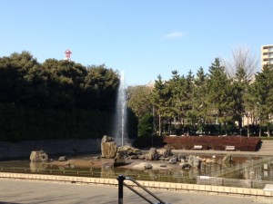 公園_4