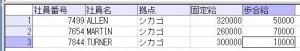 社員マスタ_null未考慮