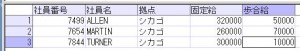 社員マスタ_null未考慮