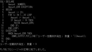 plsql_ユーザ定義例外1