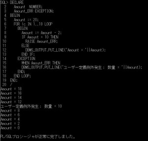 plsql_ユーザ定義例外ブロックネスト