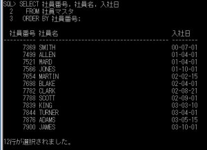 ora_社員マスタ更新後