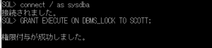 dbms_lock_権限付与